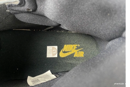 Jordan DZ5485-020 Retro  High Palomino 1  DZ5485-020 OG  0225